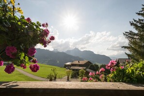Exterior - Gstaad - Amazing Lake Chalet (Saanen)