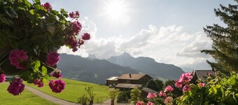 Gstaad - Amazing Lake Chalet