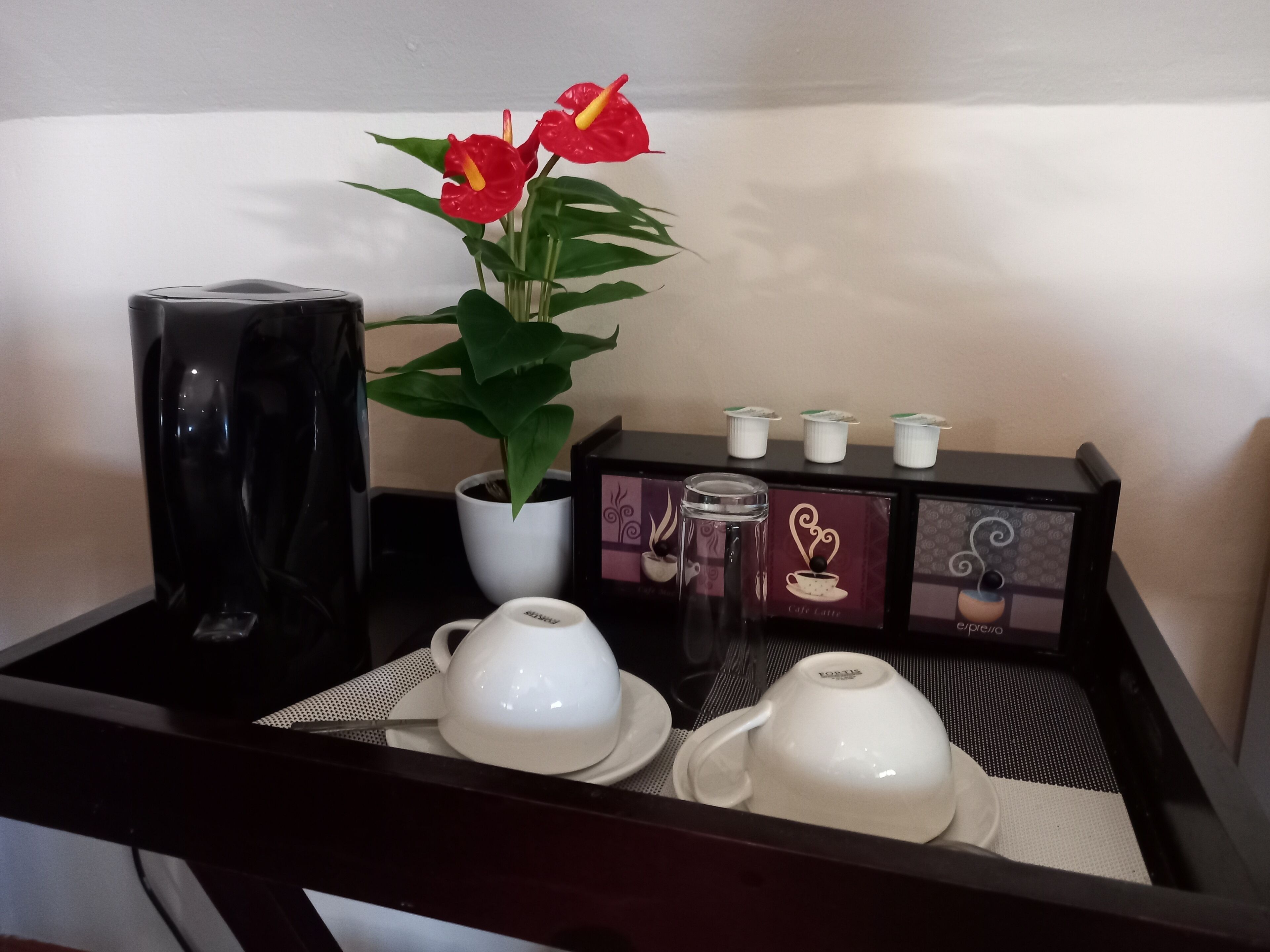 A tray with a coffee maker, a potted plant, and a set of coffee cups and saucers.