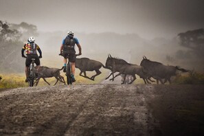Bicycling