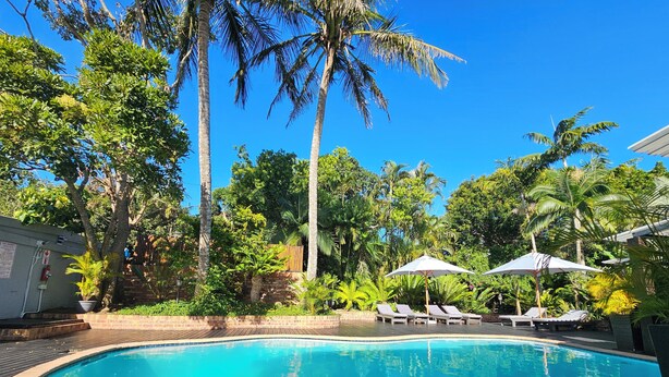 A swimming pool with lounge chairs and umbrellas, surrounded by palm trees and greenery. - Leopard Tree Lodge (St. Lucia)