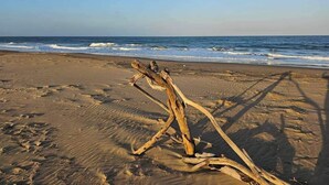 A beach with driftwood on the sand and the ocean in the background. - Leopard Tree Lodge (St. Lucia)