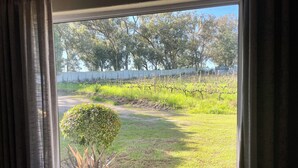 A window with a view of a vineyard and a small bush. - Groenvlei Guest Farm (Stellenbosch)