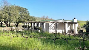 A white building with a green roof, surrounded by a vineyard and trees. - Groenvlei Guest Farm (Stellenbosch)