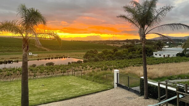 A vineyard with a view of the sunset over a rural landscape. - Groenvlei Guest Farm (Stellenbosch)