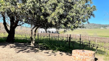 Standard Chalet, 1 Bedroom, Mountain View, Garden Area | View from room