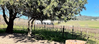 Groenvlei Guest Farm