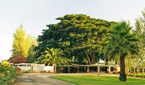 A hotel with a large tree in front, a covered outdoor area, and a well-maintained lawn.