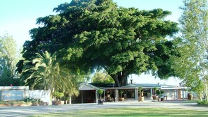 A building with a large tree in front, a covered patio, and a sign with a logo. - Damas (Worcester)