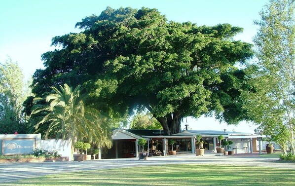 A building with a large tree in front, a covered patio, and a sign with a logo.