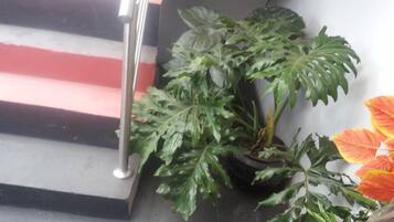 En trappe med gelænder i metal, en potteplante med store grønne blade og en plastikpose på gulvet.