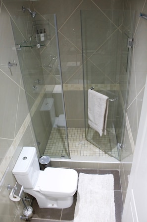 Luxury Cottage, 1 Bedroom, Ocean View, Beachfront | Bathroom shower