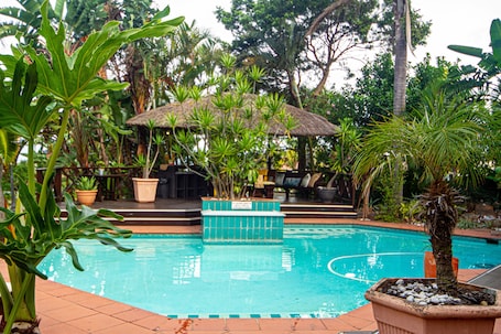 Una piscina al aire libre, sombrillas, sillones reclinables de piscina