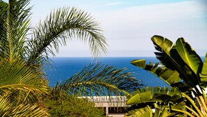 A view of the ocean through tropical foliage. - La Loggia B&B (Umhlanga)