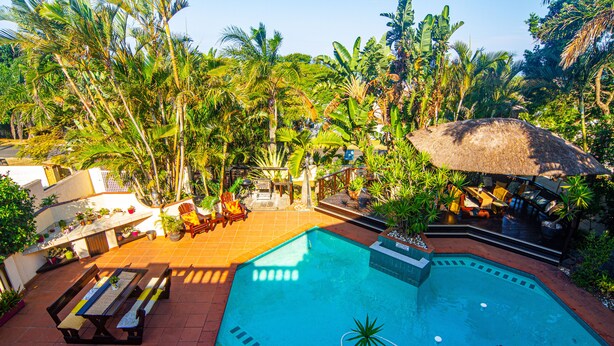 A swimming pool surrounded by lush greenery, with a thatched umbrella and wooden deck chairs. - La Loggia B&B (Umhlanga)