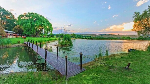 Une terrasse en bois surplombant une rivière paisible, entourée d’une végétation luxuriante et d’arbres.