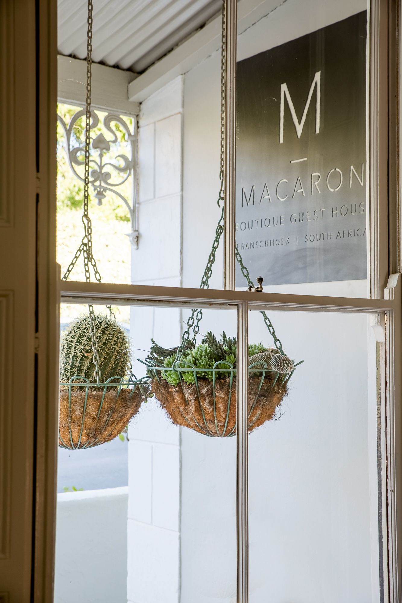 Een raam met twee hangplanten met vetplanten en een cactus.