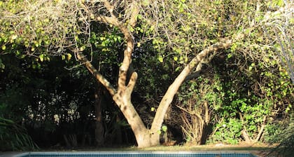 Serpentine Manor