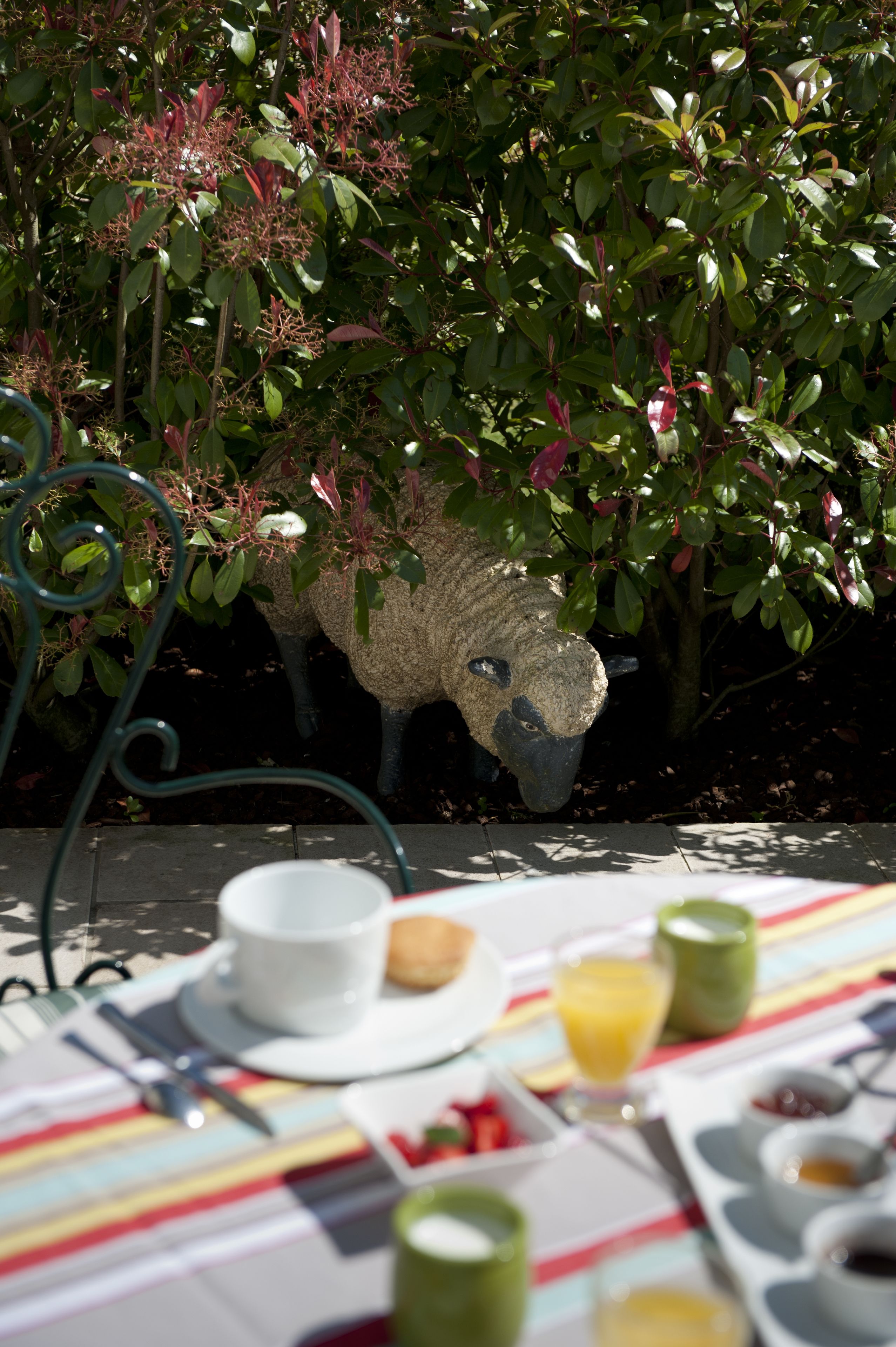 Chambre Double Confort, 1 très grand lit, bain à remous, rez-de-chaussée | Terrasse/Patio