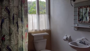 A bathroom with a toilet, sink, and window.