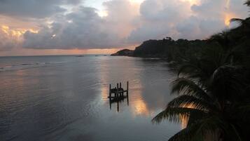 A calm sea with a small dock and palm trees in the foreground.