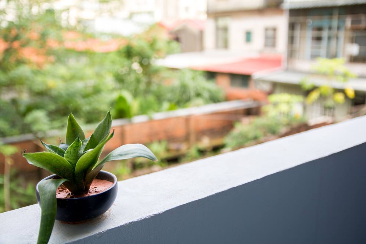 Una planta en maceta sobre la barandilla de un balcón, con vista a una zona residencial.