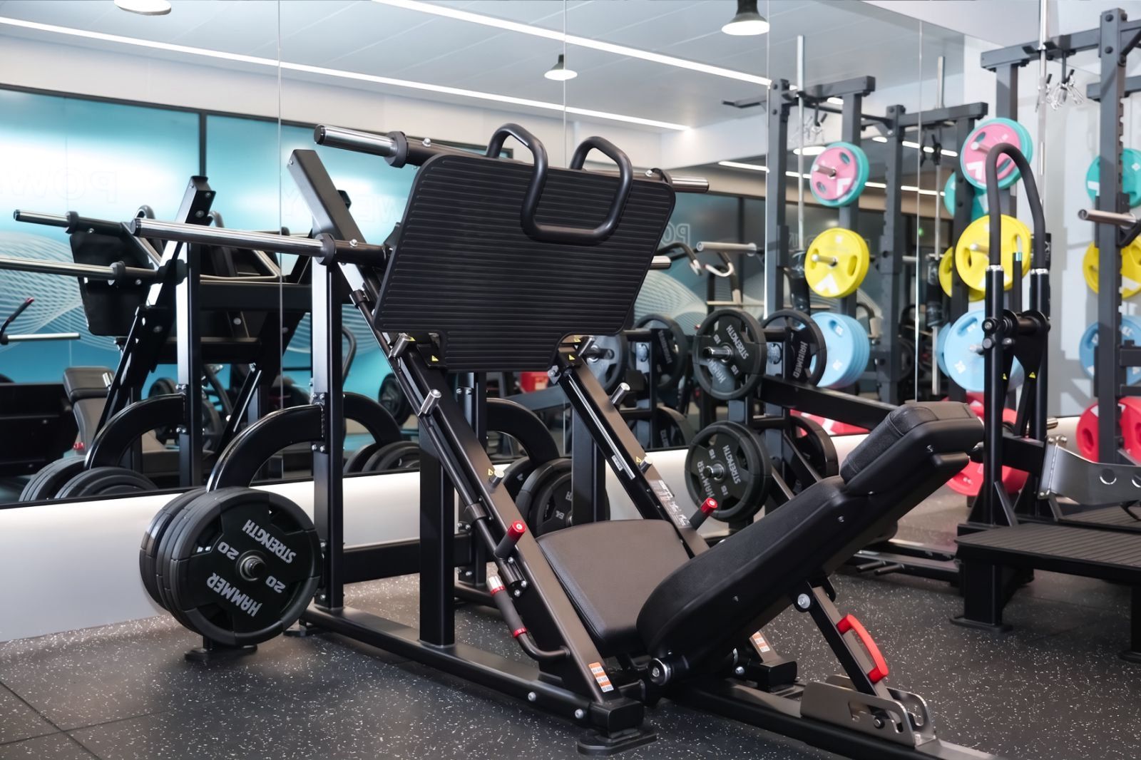 A gym with weightlifting equipment, including a bench and various weights.