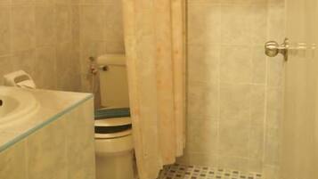 A small bathroom with a toilet, sink, and shower area.