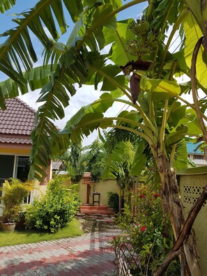 Taman