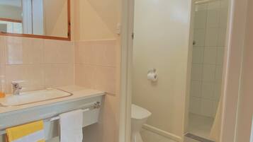 A bathroom with a sink, toilet, and shower.