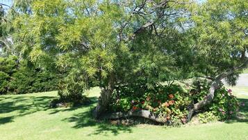 Un jardin bien entretenu, agrémenté de divers arbres et de plantes à fleurs.