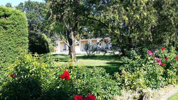 Un jardín con un edificio al fondo.