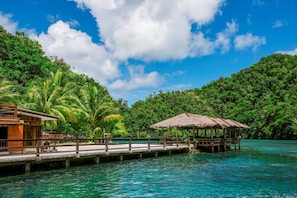 Bar (on property) - Sea Passion Hotel (Malakal Island)