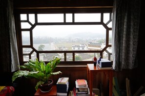 Family Suite | View from room