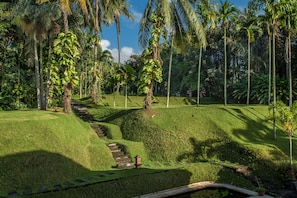 View from property - The Bali Purnati Center For The Arts (Sukawati)