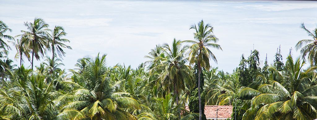 Photo - Suriya Arana