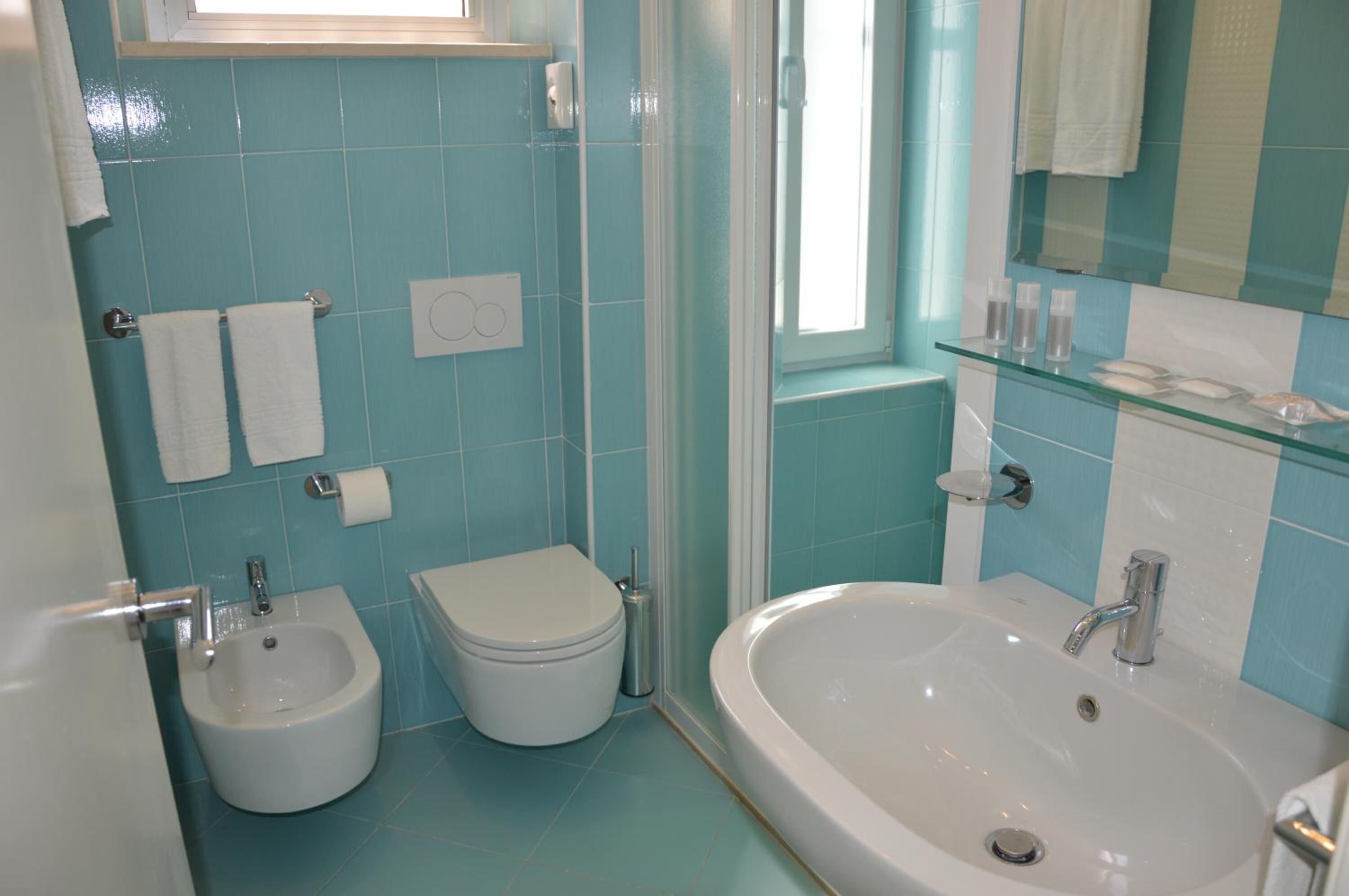 shower, free toiletries, hair dryer, bidet