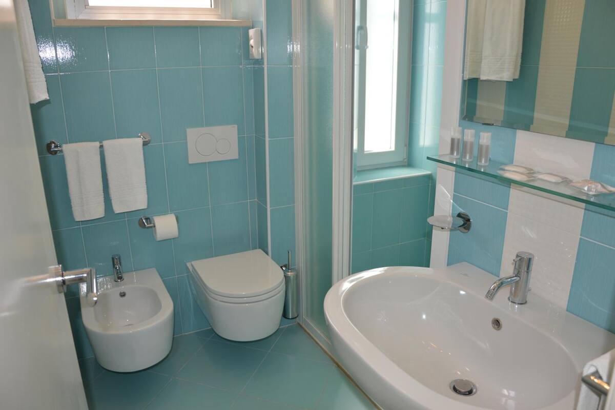 shower, free toiletries, hair dryer, bidet