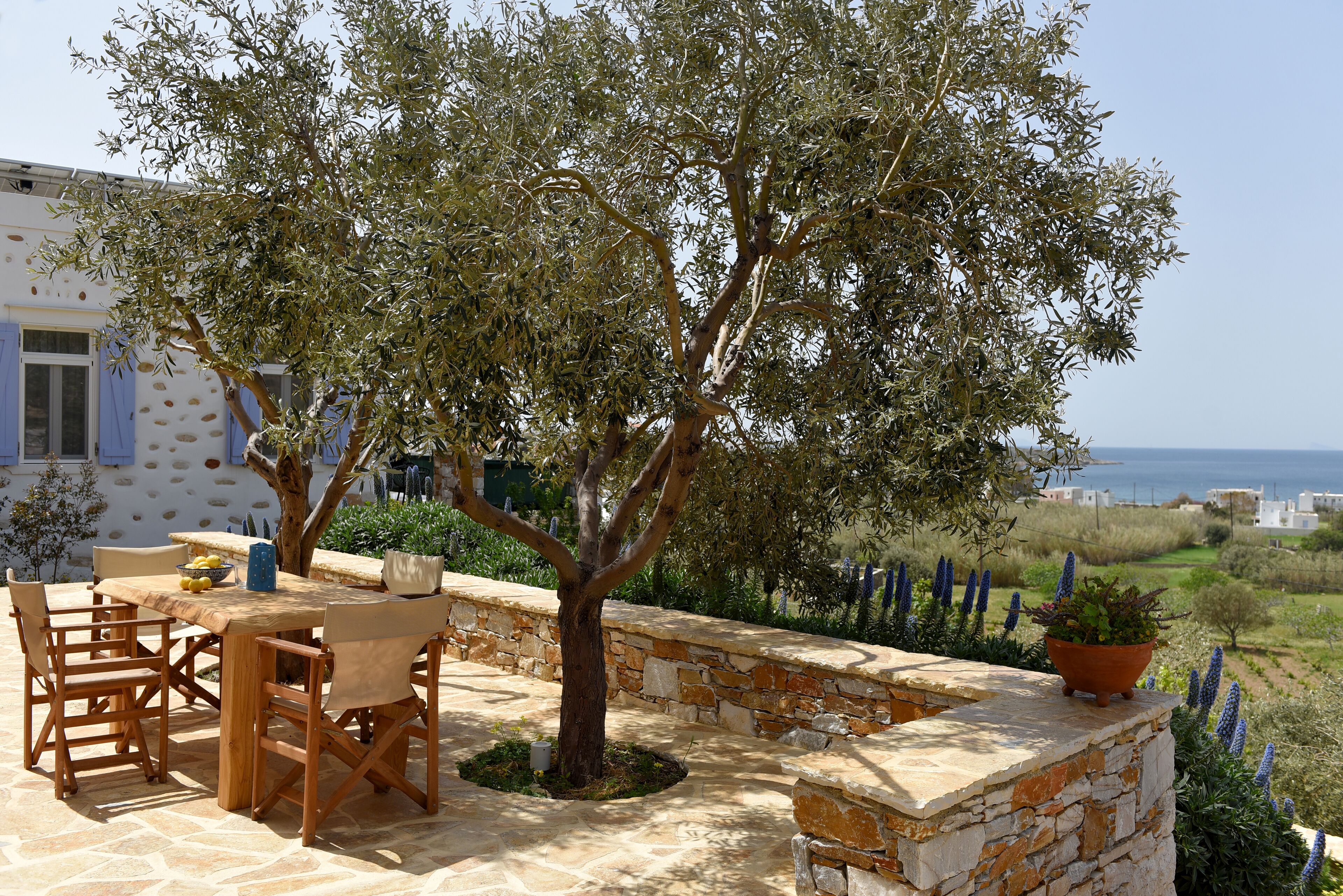 Villa (Friendship) | Terraza o patio