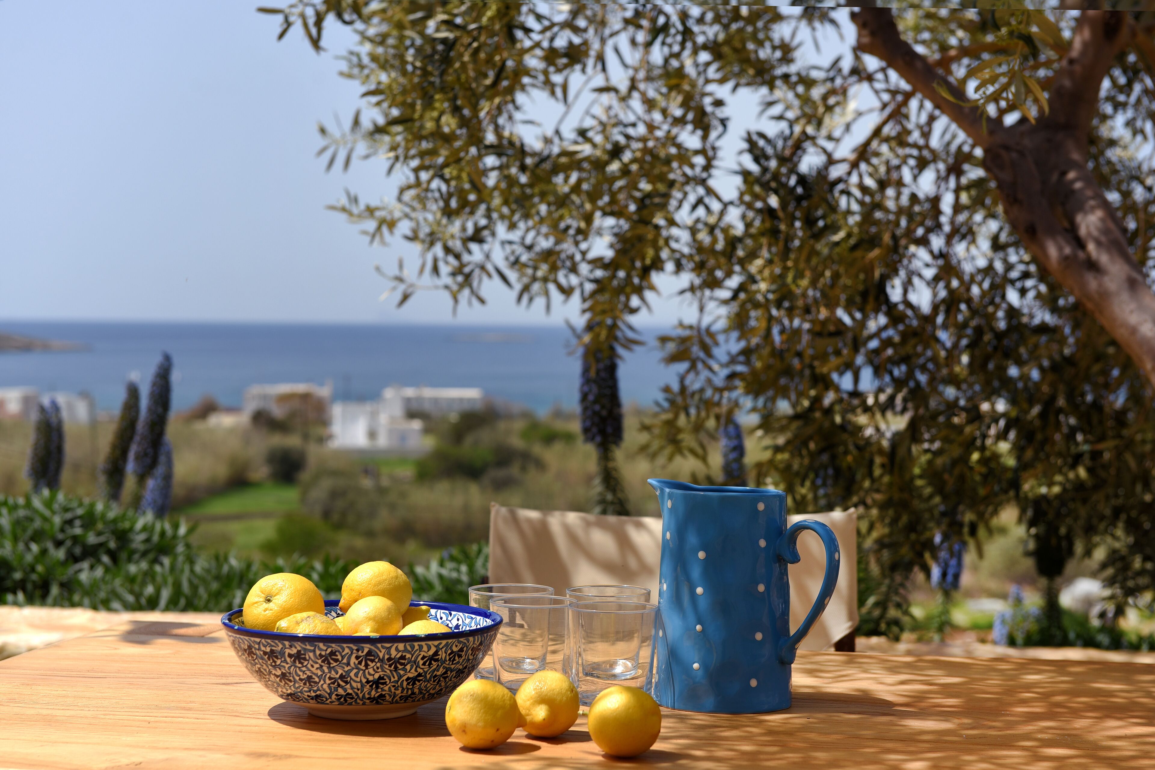 Ein Tisch mit einer Zitronenschale, einer blauen Karaffe und zwei Gläsern.