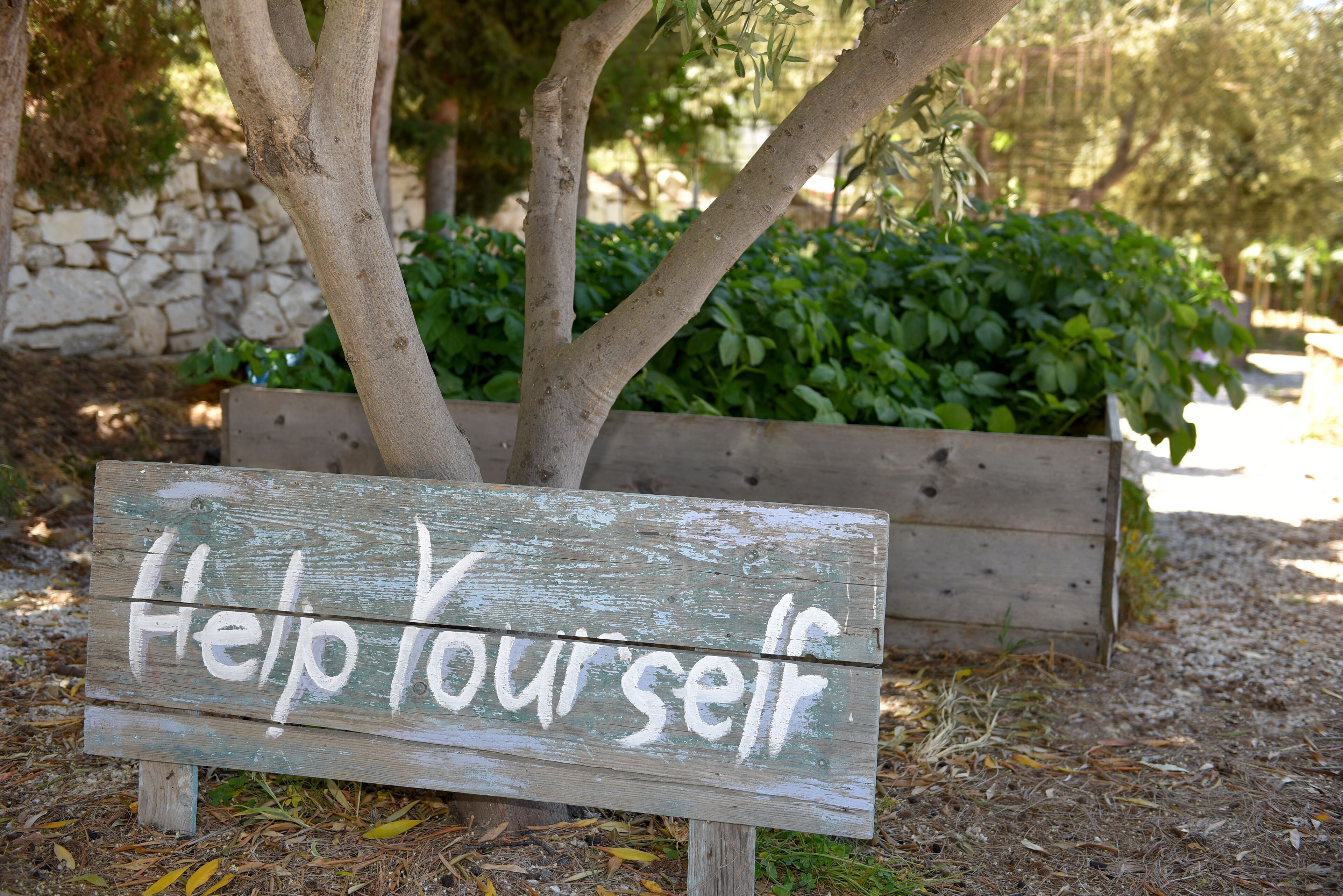 A wooden sign with the text "Help Yourself" placed in front of a tree and planter.