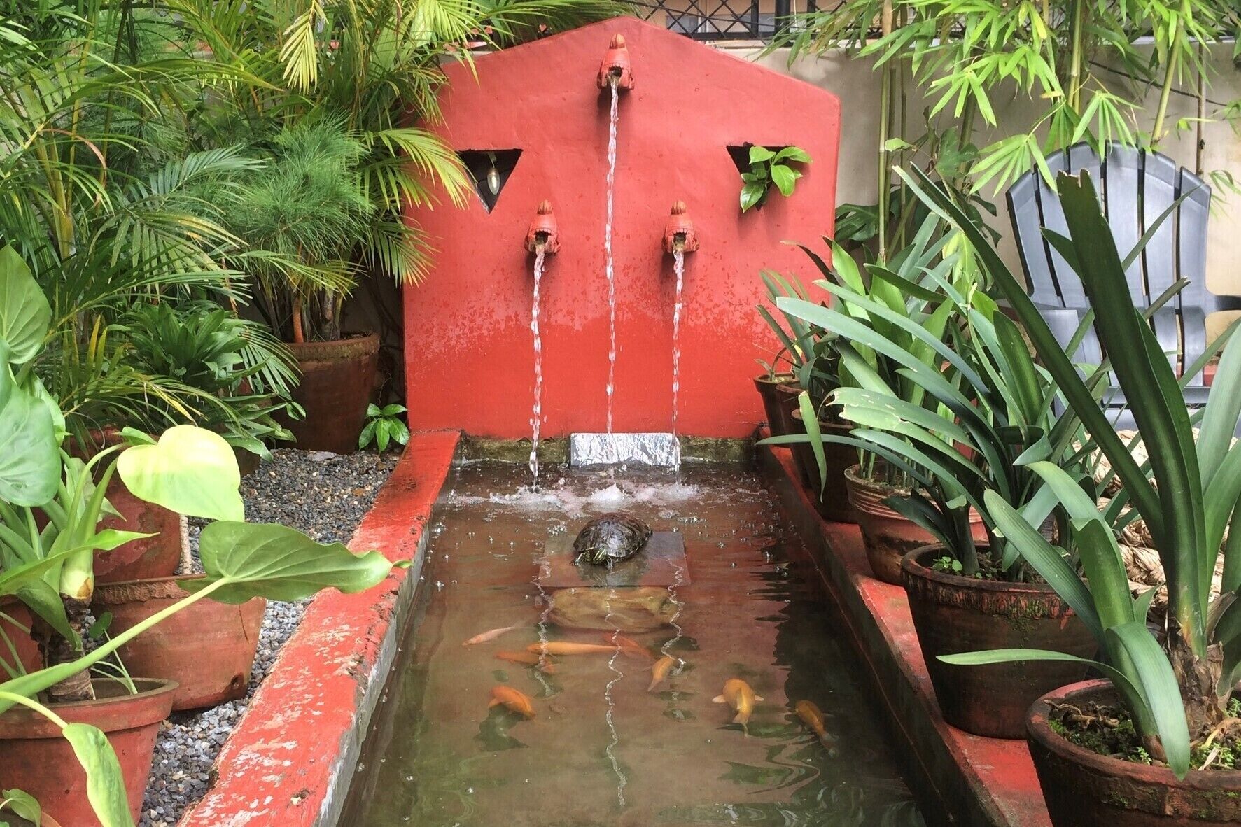 A small water feature with a red wall and three spouts, surrounded by various potted plants.