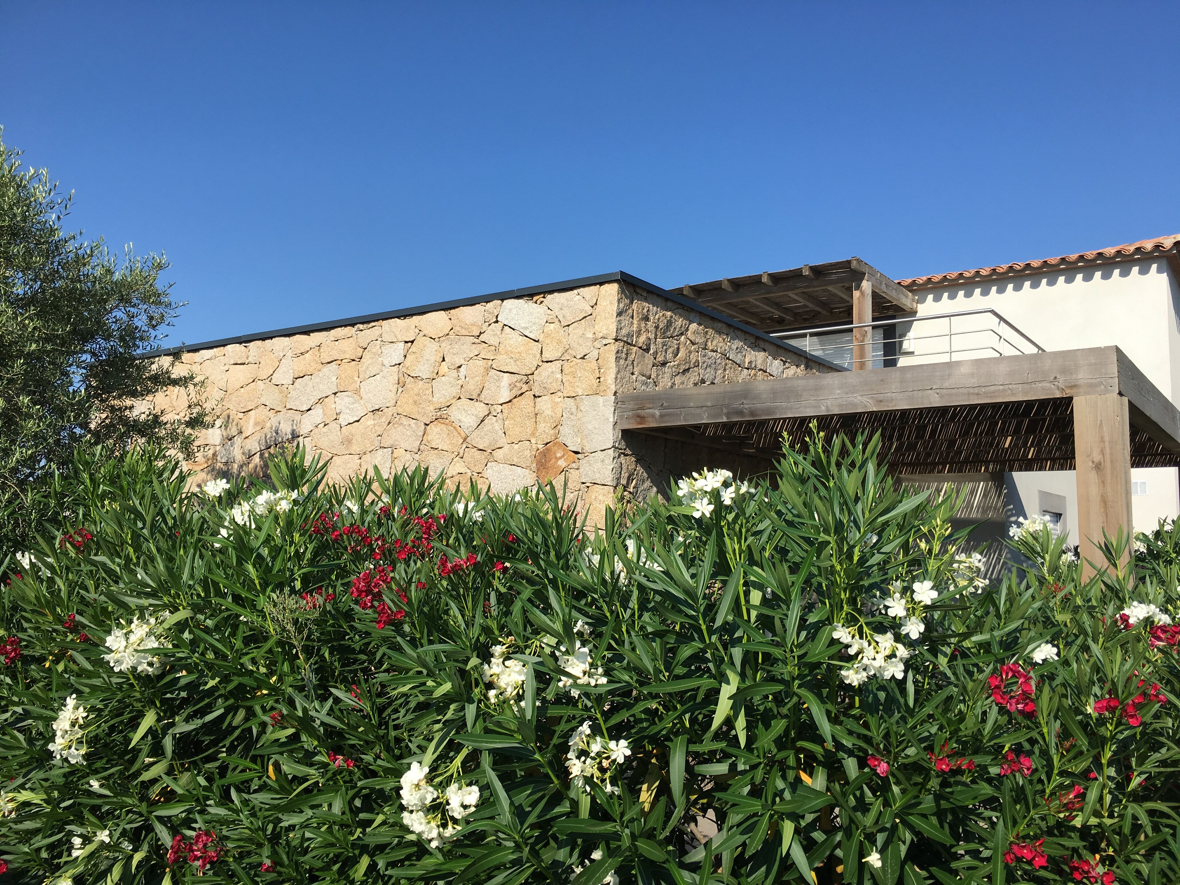 A stone building with a wooden pergola and flowering plants in front.