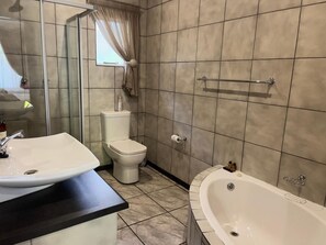 Ducha, secador de pelo y toallas