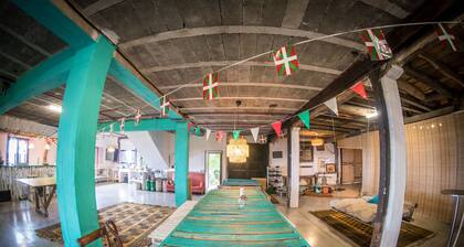 Surf Camp San Sebastian Partyhostel