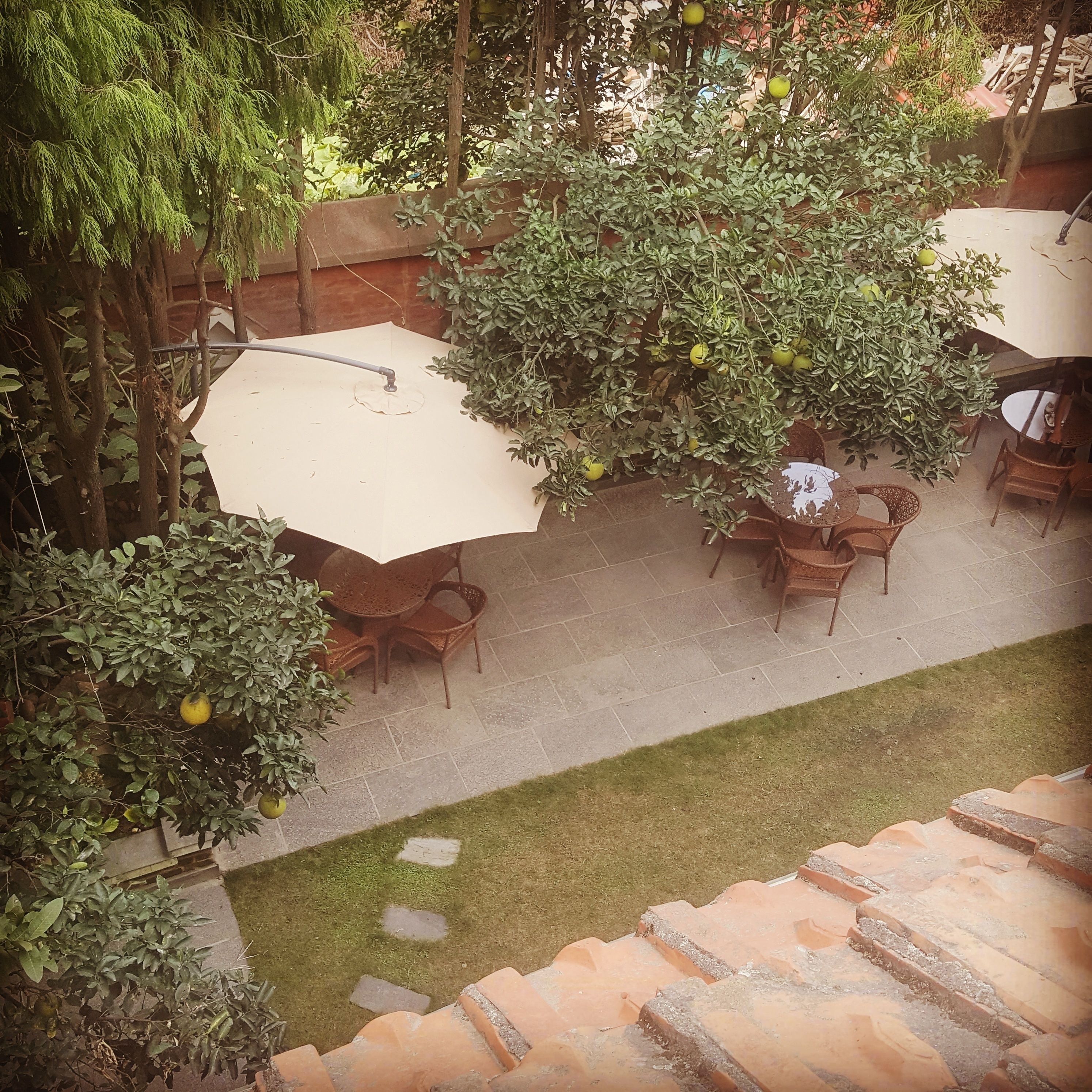 Un patio al aire libre con una mesa y sillas, rodeado de vegetación y un piso de baldosas.