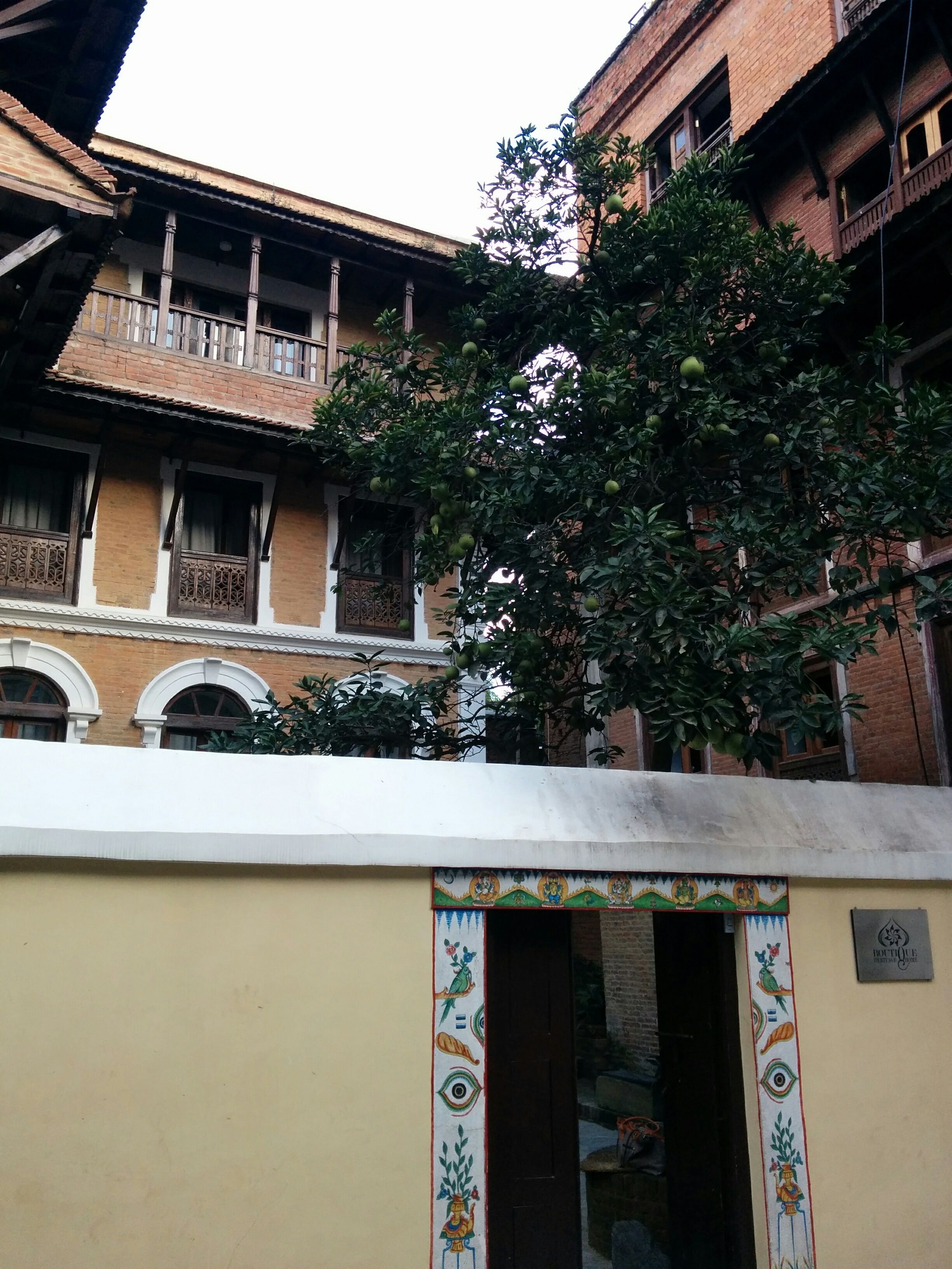 A traditional building with a balcony and a tree with green fruit.
