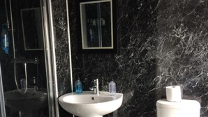 A bathroom with a glass shower enclosure, a pedestal sink, a toilet, and a mirror above the sink.