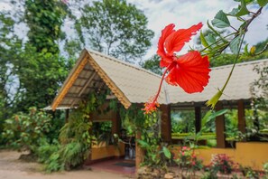Front of property - Sunnyside Holiday Bungalow (Ella)