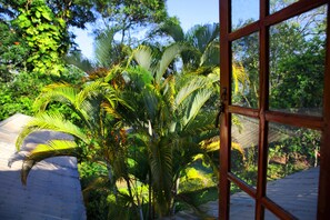 A view through a window with a wooden frame, revealing a lush green garden with palm trees and dense foliage. - Sunnyside Holiday Bungalow (Ella)